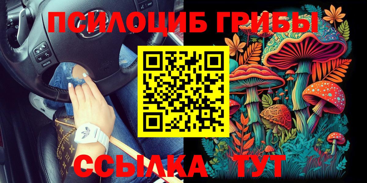Псилоцибиновые грибы MAGIC MUSHROOMS  Псилоцибиновые грибы Psilocybine cubensis  Рязань  Вход с VPN 